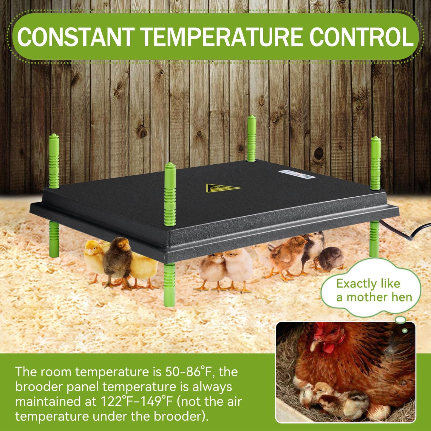 Chick Brooder Heater Plate, 12"x16" Warmer Brooder Plate for Chicks with Adjustable Height & Temperature Display RD12
