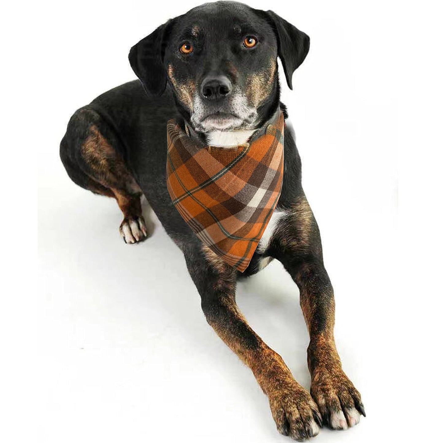Realeaf Fall Thanksgiving Dog Bandanas 2 Pack, Orange Plaid Pet Scarf for Boy and Girl, Premium Durable Fabric, Holiday Halloween Bandana for Large and Extra Large Dogs (X-Large) WN420