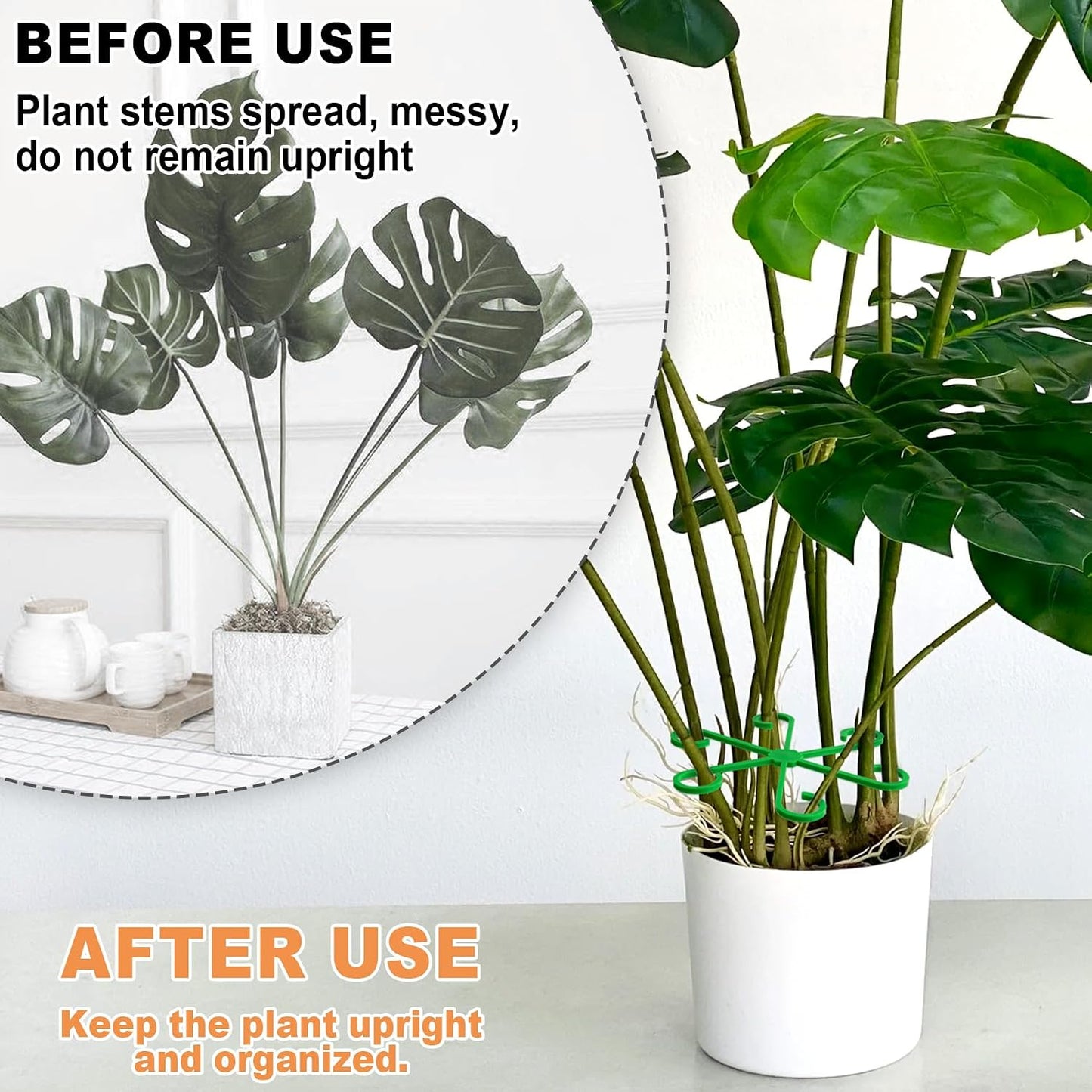 8PCS Plant Stem Support, 4 Sizes Climbing Houseplant Stem Holders, Plastic Reusable Flower Trellis Stem Hook Plant Care Growth Accessories for Flower Plants Indoor Outdoor- Green, Clear WN420