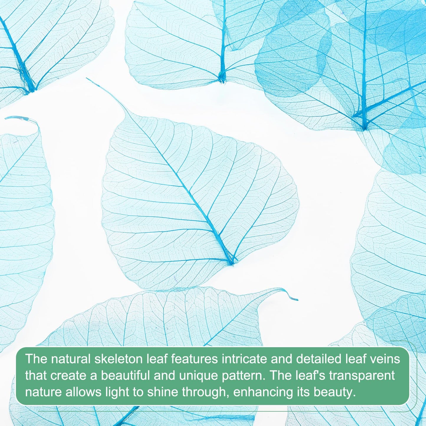 M METERXITY 100-Pack Skeleton Leaves, 5.1 Inch Natural Dried Pressed Bodhi Skeleton Leaves Vein for Resin/DIY Crafts Card/Scrapbook/Wedding, Small Leaves Decorative [Coffee] BST220