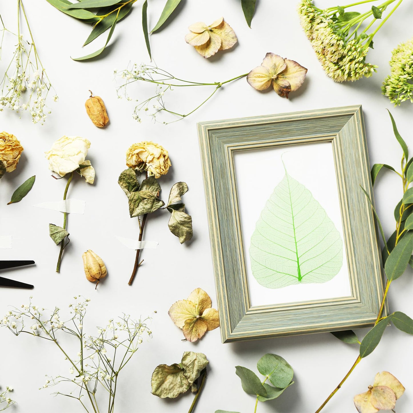 M METERXITY 100-Pack Skeleton Leaves, 5.1 Inch Natural Dried Pressed Bodhi Skeleton Leaves Vein for Resin/DIY Crafts Card/Scrapbook/Wedding, Small Leaves Decorative [Coffee] BST220