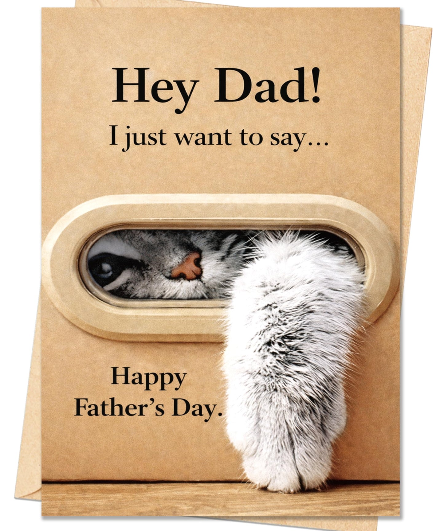 Funny Fathers Day Card for Dad, Father's Day Cards Gifts Decorations from Daughter Son, Happy Fathers Day Card from Cat, Cute Cat Dad Father's Day Decorations Gifts BST220