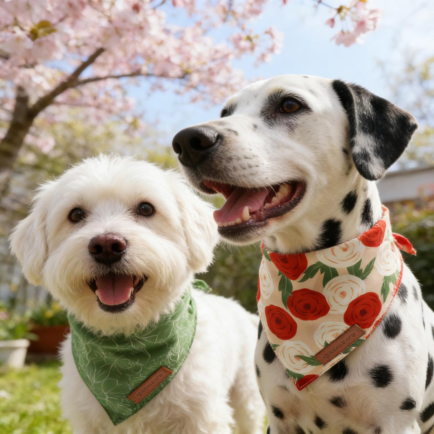 Realeaf Fall Thanksgiving Dog Bandanas 2 Pack, Orange Plaid Pet Scarf for Boy and Girl, Premium Durable Fabric, Holiday Halloween Bandana for Large and Extra Large Dogs (X-Large) WN420