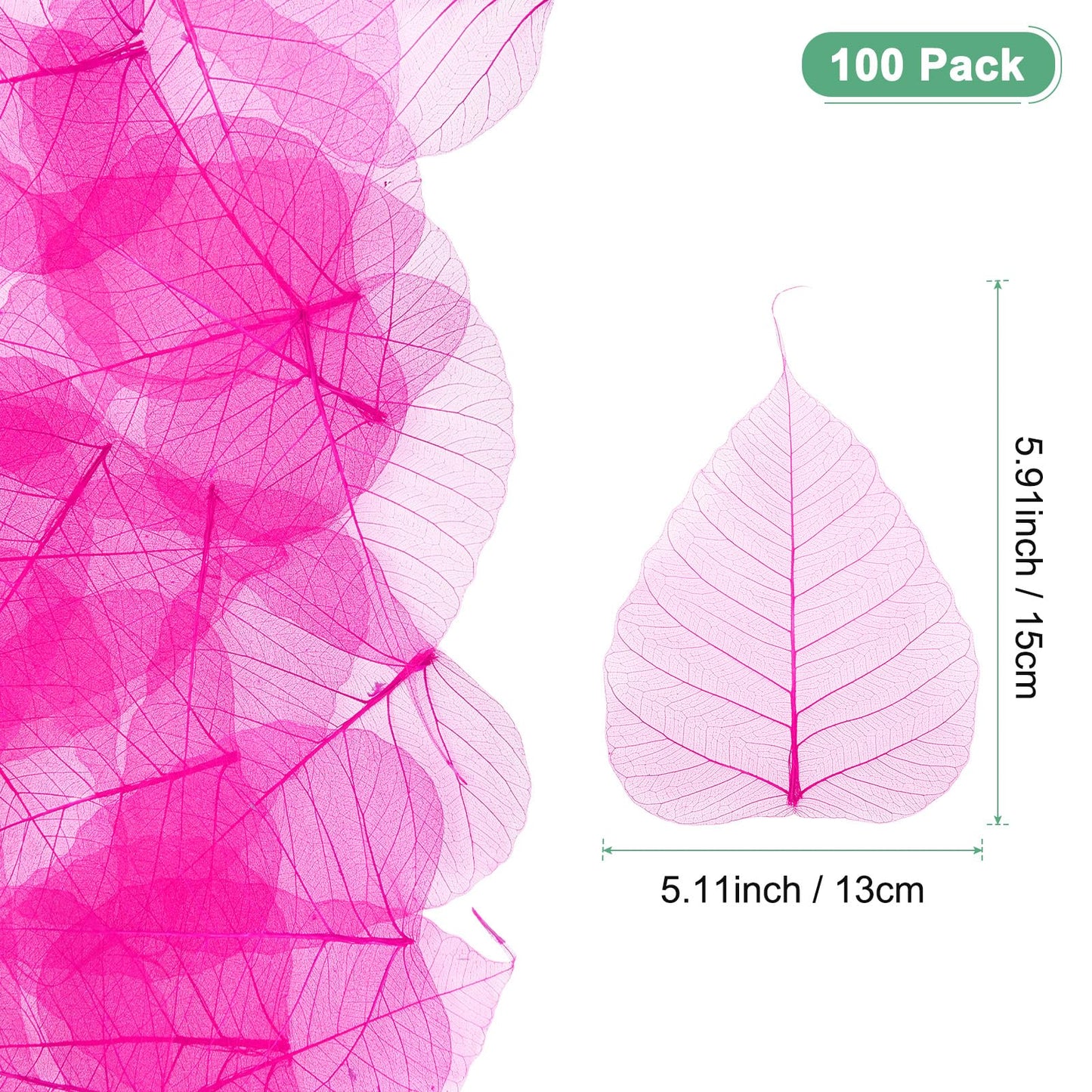 M METERXITY 100-Pack Skeleton Leaves, 5.1 Inch Natural Dried Pressed Bodhi Skeleton Leaves Vein for Resin/DIY Crafts Card/Scrapbook/Wedding, Small Leaves Decorative [Coffee] BST220
