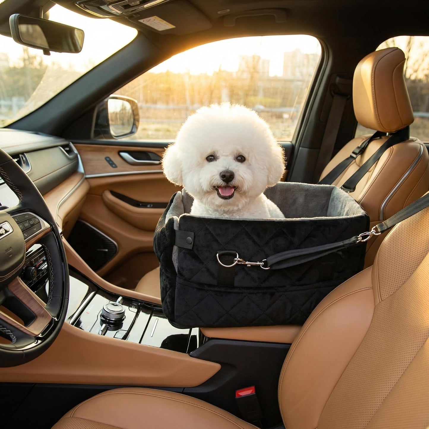 Center Console Dog Car Seats for Small Dogs Cats with Adjustable Safety Belt Multipurpose Pet Booster Seat for Car,Travel,Shopping,Camping with Your Furry Friends WN420