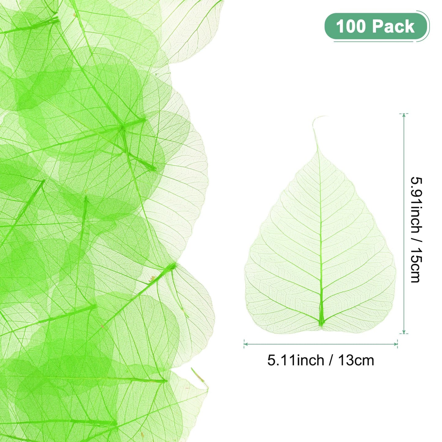 M METERXITY 100-Pack Skeleton Leaves, 5.1 Inch Natural Dried Pressed Bodhi Skeleton Leaves Vein for Resin/DIY Crafts Card/Scrapbook/Wedding, Small Leaves Decorative [Coffee] BST220