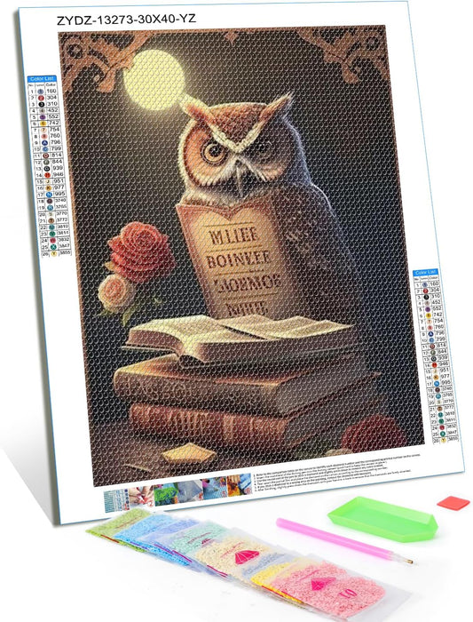 Christmas Gift Magic Book Owl Fun Handmade Diamond Painting DIY Full Round Painting Kit for Adults, Full Color Crystal Craft, for Home Office Decor for New Year's Day Valentine's Day 12x16 inch BST220
