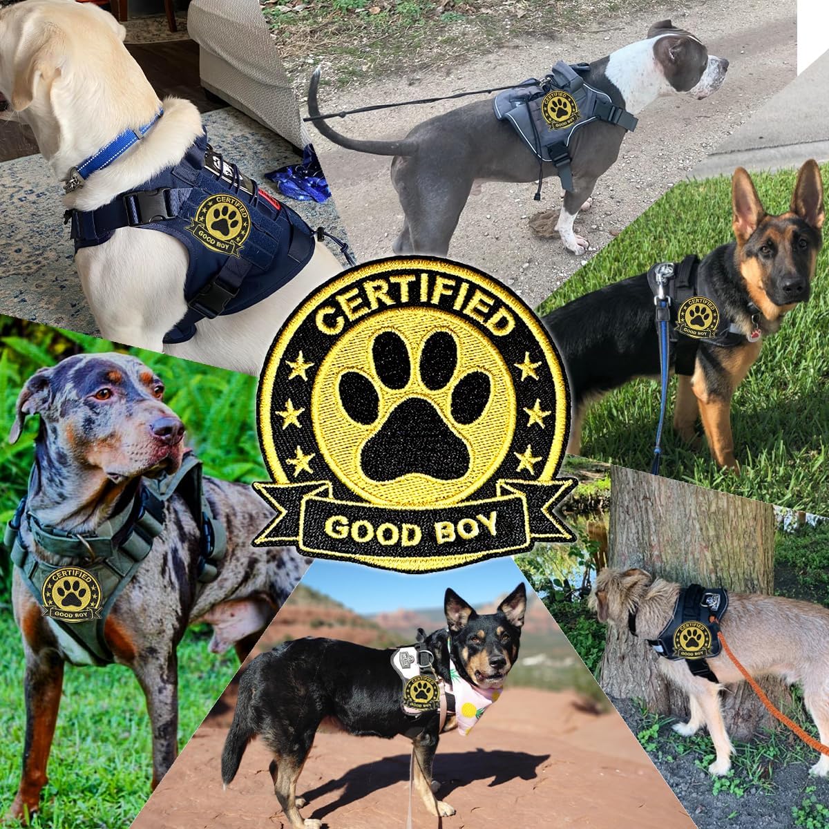 Certified Good Dog Harness Patches 3" Embroidered Funny Hook and Loop Backing Certified for Backpacks, Hats, Bags,Dog Harness, Vests BST326L
