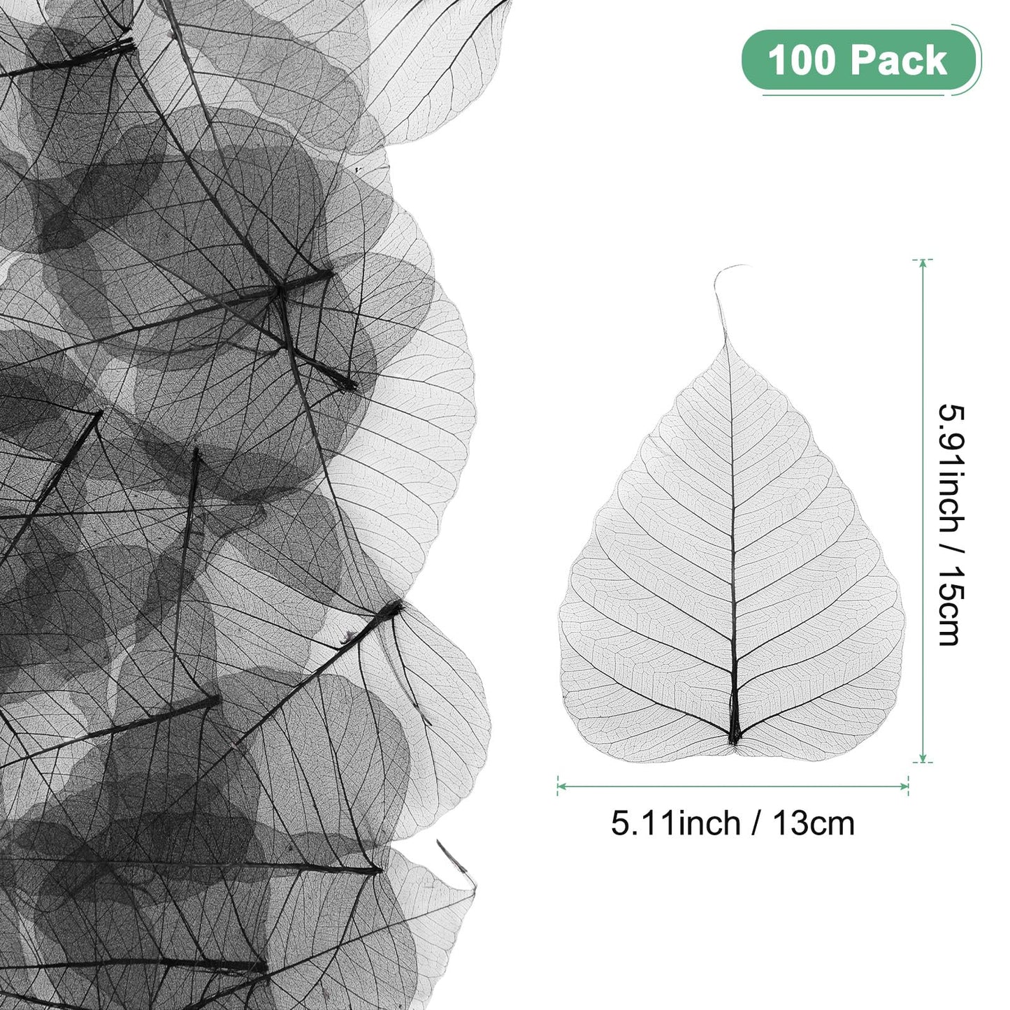 M METERXITY 100-Pack Skeleton Leaves, 5.1 Inch Natural Dried Pressed Bodhi Skeleton Leaves Vein for Resin/DIY Crafts Card/Scrapbook/Wedding, Small Leaves Decorative [Coffee] BST220