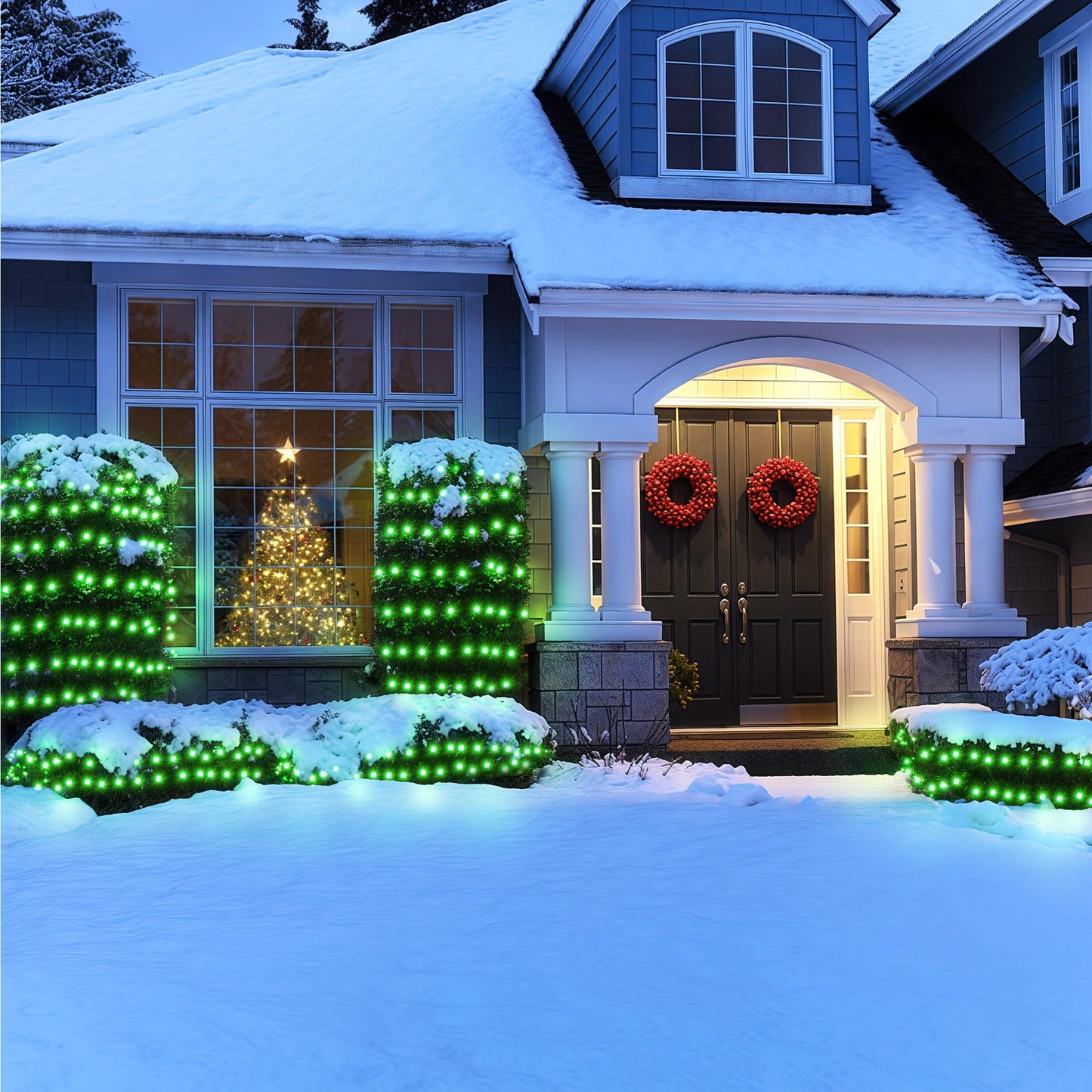 BlcTec Christmas Lights Outdoor 360 LED 9.8ft x 6.6ft Christmas Net Lights with 8 Modes RD12