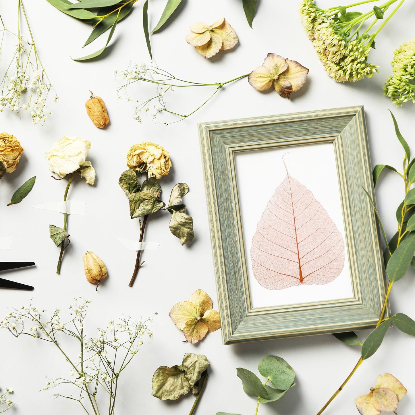 M METERXITY 100-Pack Skeleton Leaves, 5.1 Inch Natural Dried Pressed Bodhi Skeleton Leaves Vein for Resin/DIY Crafts Card/Scrapbook/Wedding, Small Leaves Decorative [Coffee] BST220