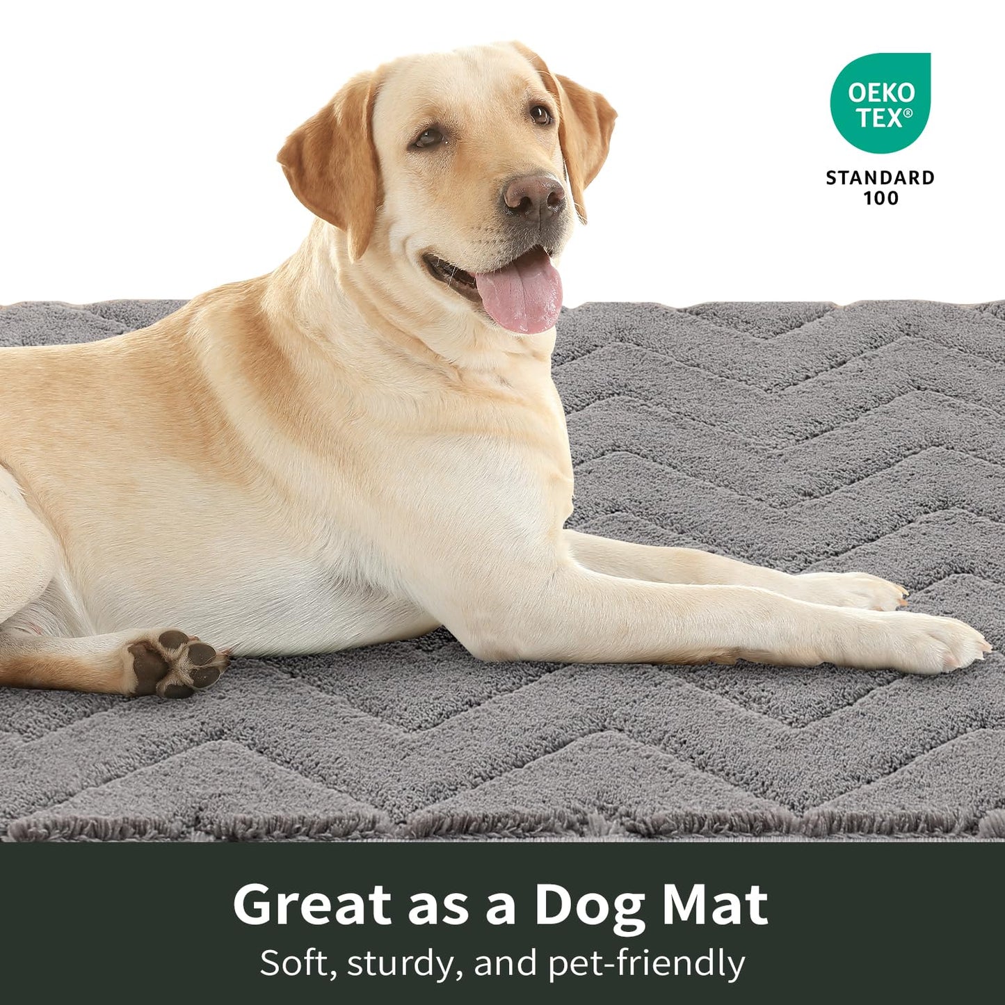 Stiio Bathroom Rugs, Bath Mats for Bathroom, Extra Soft and Water Absorbent, Non Slip Washable Mat for Floor, Tub and Shower, Front Door Entrance Inside Doormat, 24x35 Inches Brown BST202
