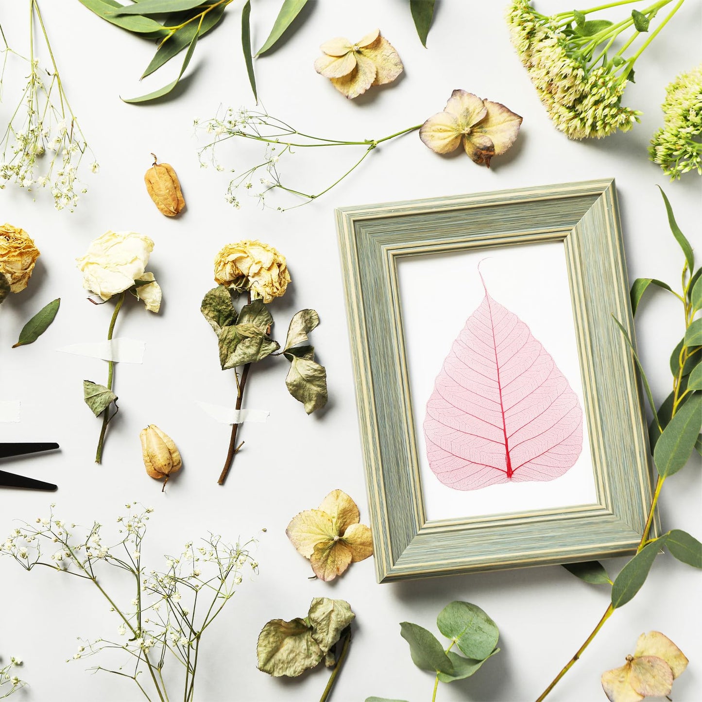 M METERXITY 100-Pack Skeleton Leaves, 5.1 Inch Natural Dried Pressed Bodhi Skeleton Leaves Vein for Resin/DIY Crafts Card/Scrapbook/Wedding, Small Leaves Decorative [Coffee] BST220