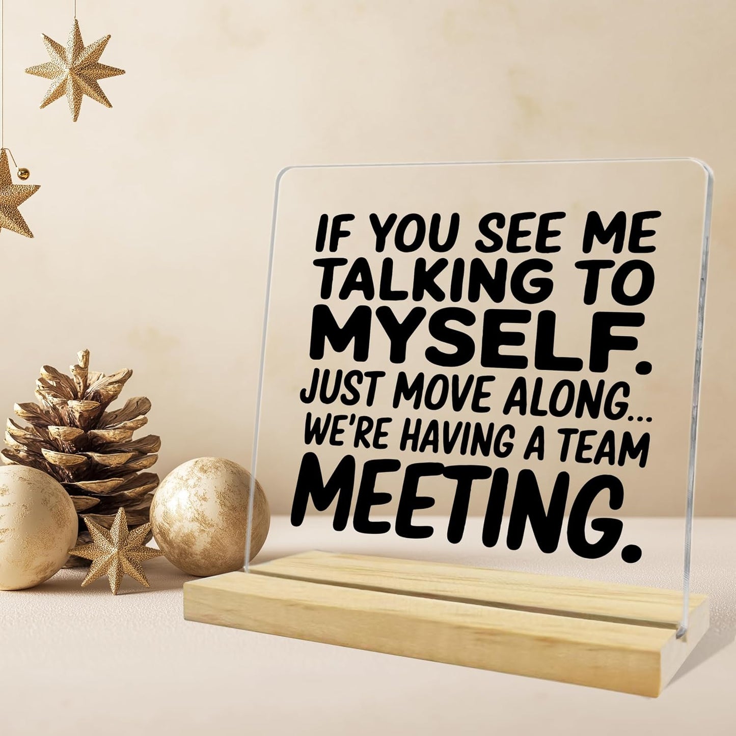 Funny Office Decor,If You See Me Talking to Myself Acrylic Plaque,Inspirational Gifts for Women Men Coworkers BST202