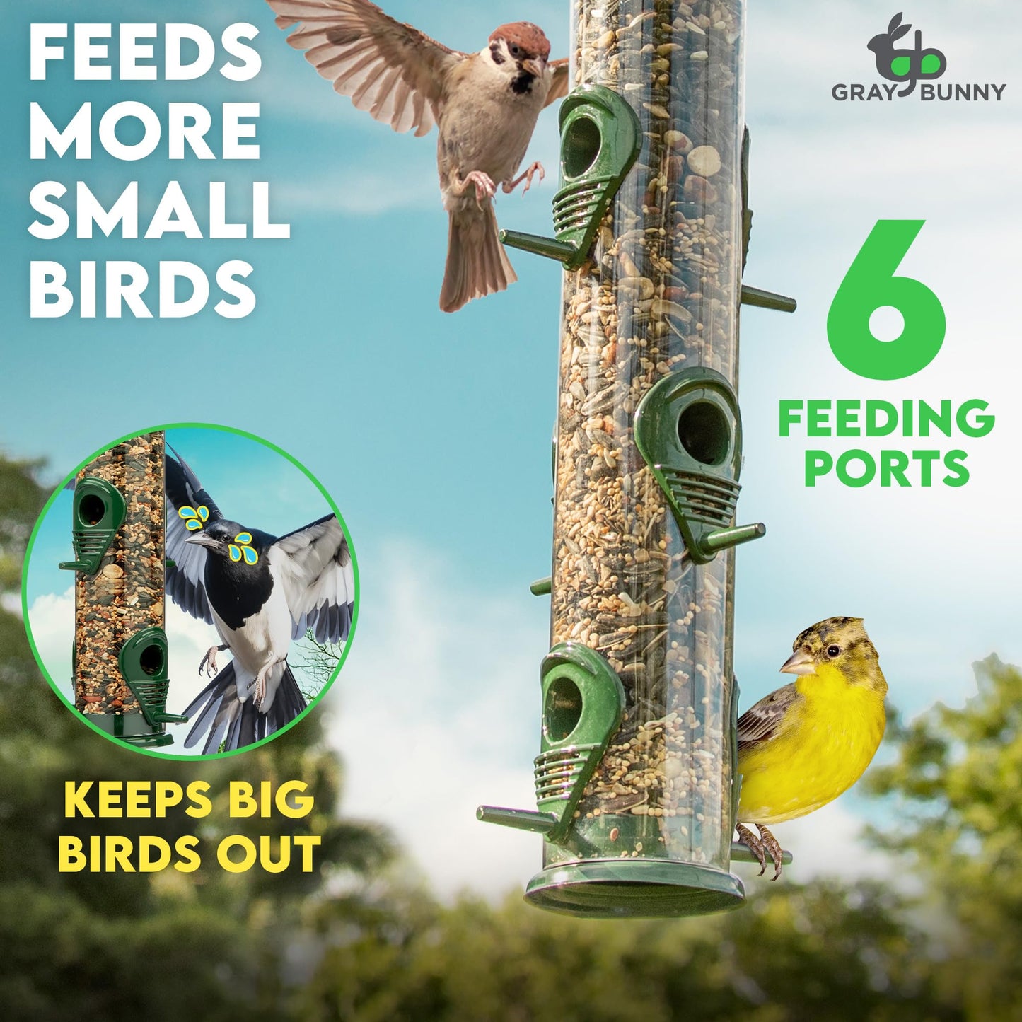 Bird Feeders for Outdoors (Green) Squirrel Proof Hanging Bird Feeder with Locking Lid & Adjustable Hanger RD12