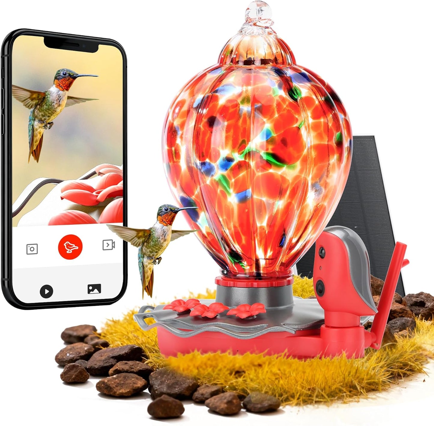 TT Nature Smart Glass Hummingbird Feeder with Camera Solar Powered 2K- AI Identify & Water Detection 81
