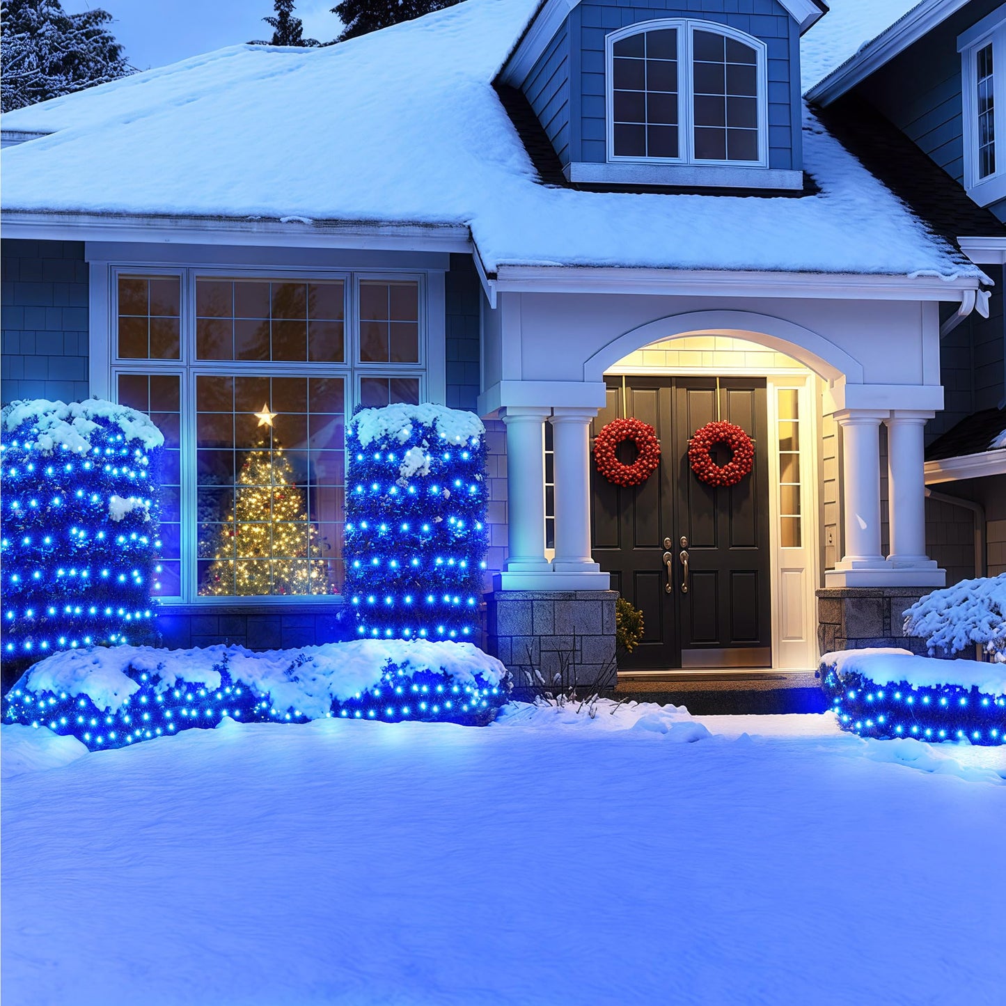 BlcTec Christmas Lights Outdoor 360 LED 9.8ft x 6.6ft Christmas Net Lights with 8 Modes RD12