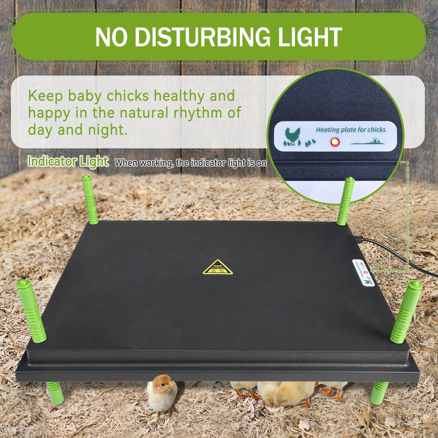 Chick Brooder Heater Plate, 12"x16" Warmer Brooder Plate for Chicks with Adjustable Height & Temperature Display RD12