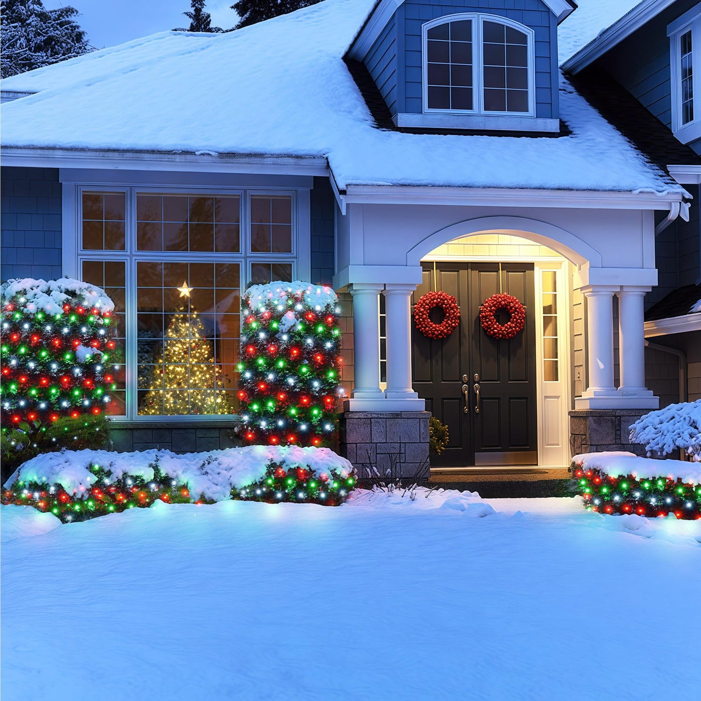 BlcTec Christmas Lights Outdoor 360 LED 9.8ft x 6.6ft Christmas Net Lights with 8 Modes RD12
