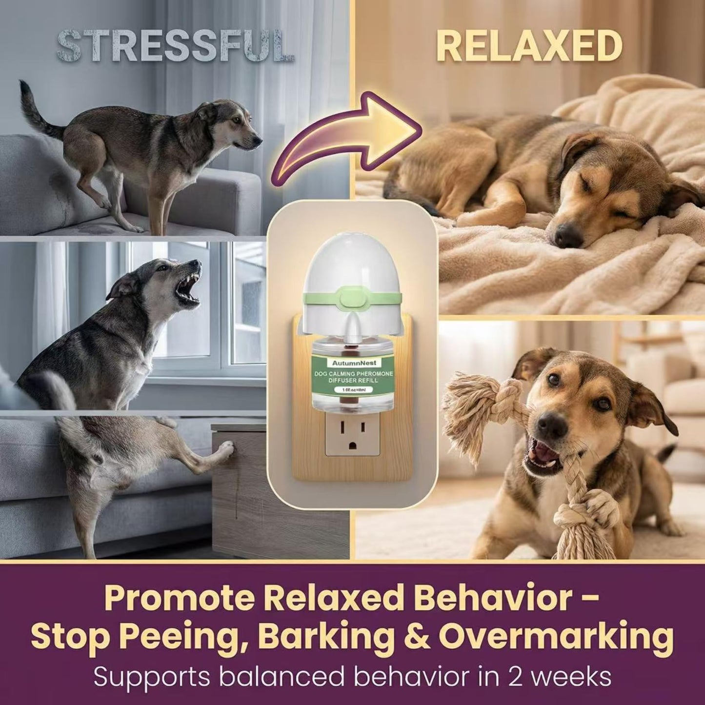 8-in-1 Dog Calming Pheromone Diffuser Kit – Pet Stress Support (2 Plug-Ins & 6x48ml Refills), Calming Diffuser for Dog During Thunderstorms, Travel, Separation, Fireworks & Vet Visits, 180-Day Supply WN420