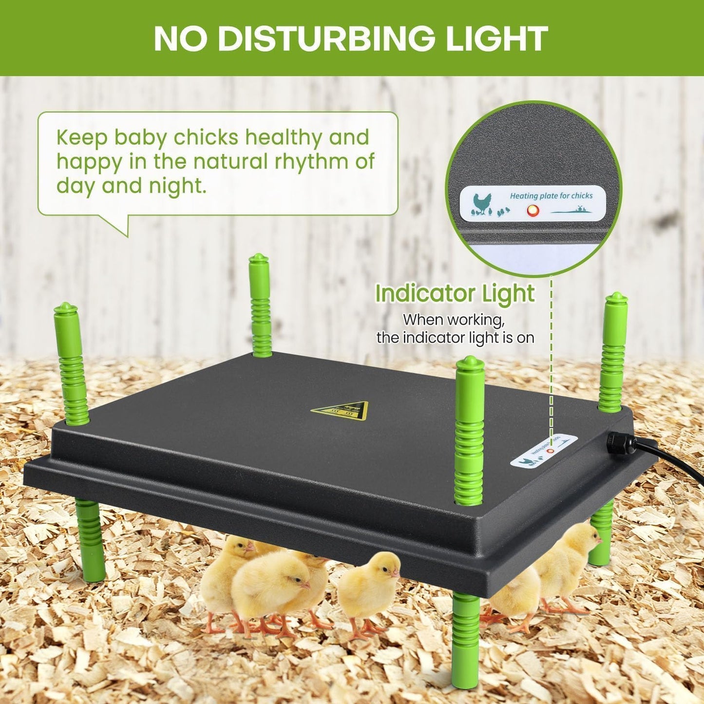 Chick Brooder Heater Plate, 12"x16" Warmer Brooder Plate for Chicks with Adjustable Height & Temperature Display RD12