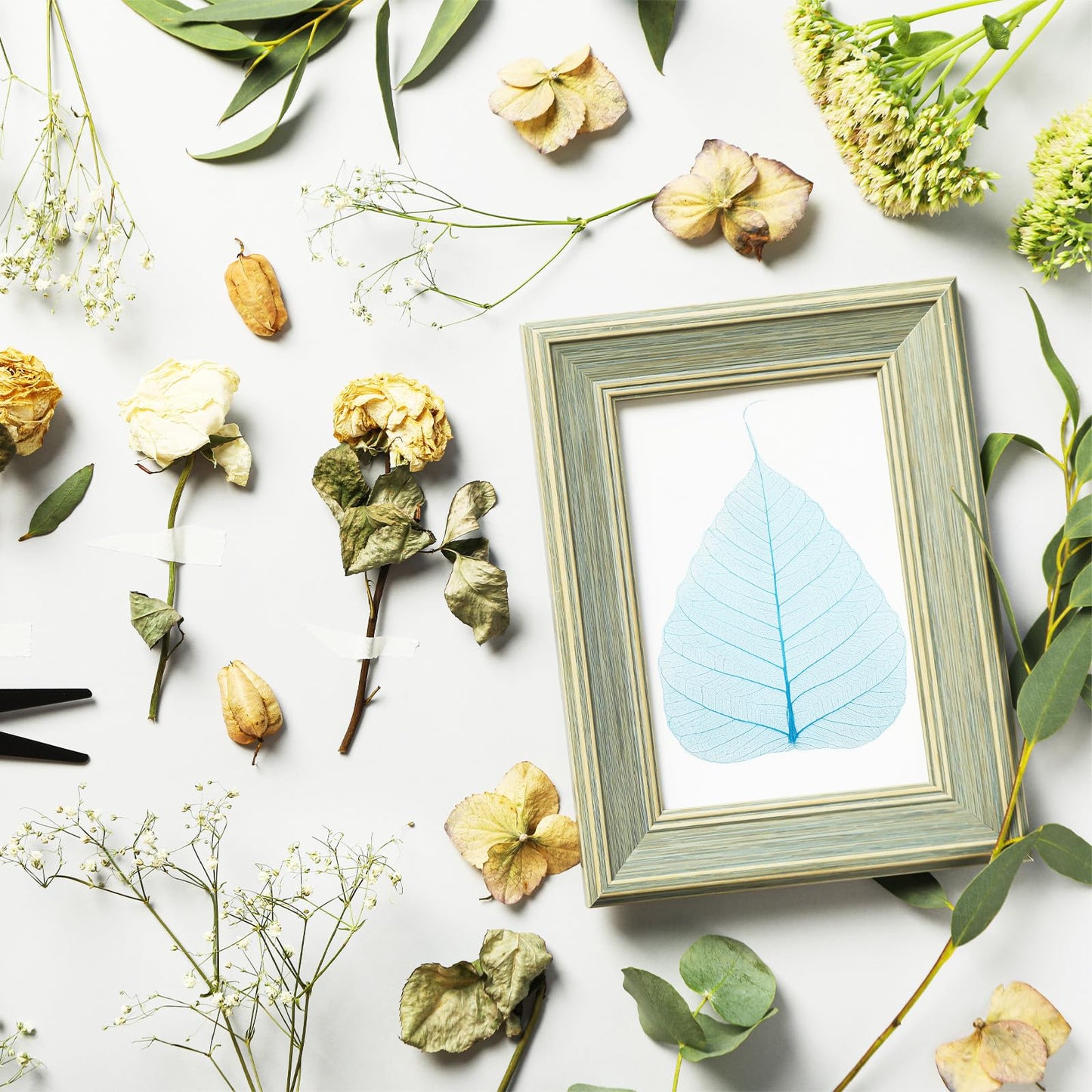 M METERXITY 100-Pack Skeleton Leaves, 5.1 Inch Natural Dried Pressed Bodhi Skeleton Leaves Vein for Resin/DIY Crafts Card/Scrapbook/Wedding, Small Leaves Decorative [Coffee] BST220