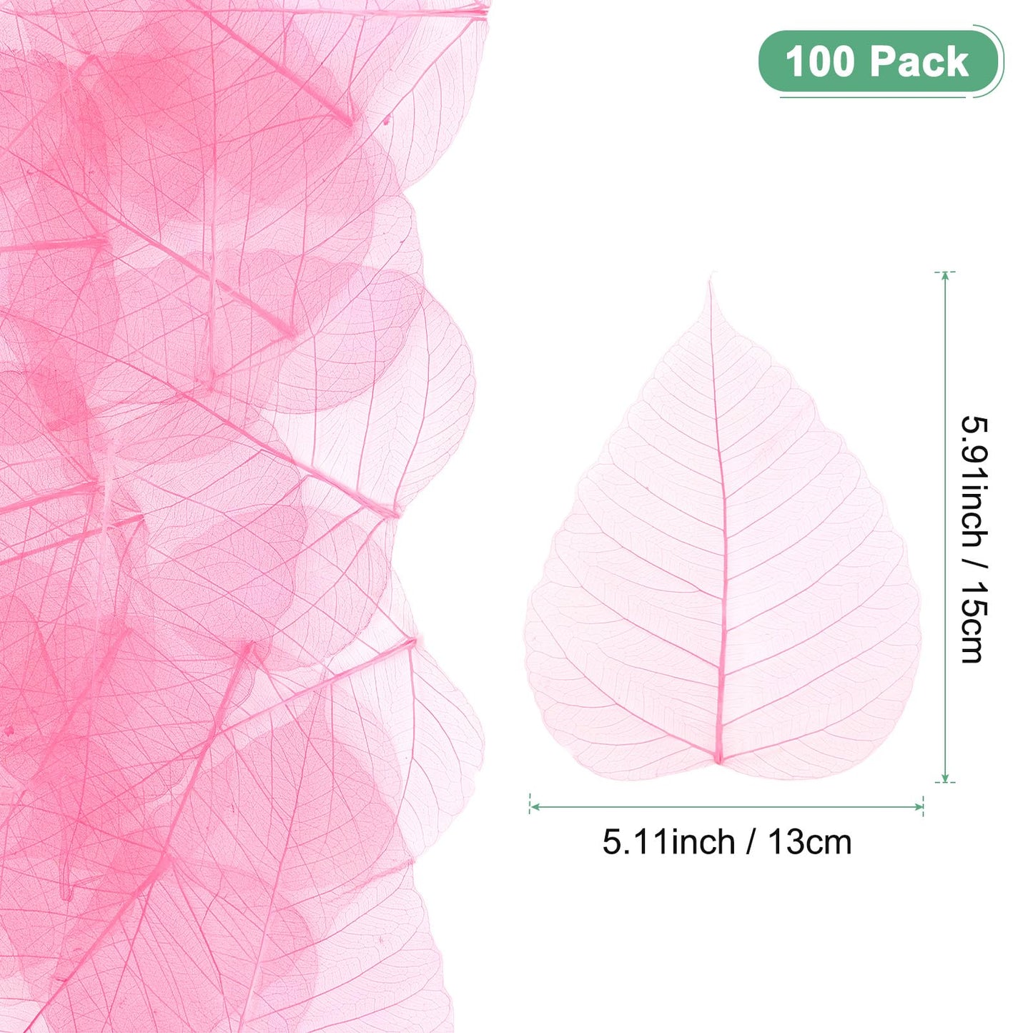 M METERXITY 100-Pack Skeleton Leaves, 5.1 Inch Natural Dried Pressed Bodhi Skeleton Leaves Vein for Resin/DIY Crafts Card/Scrapbook/Wedding, Small Leaves Decorative [Coffee] BST220