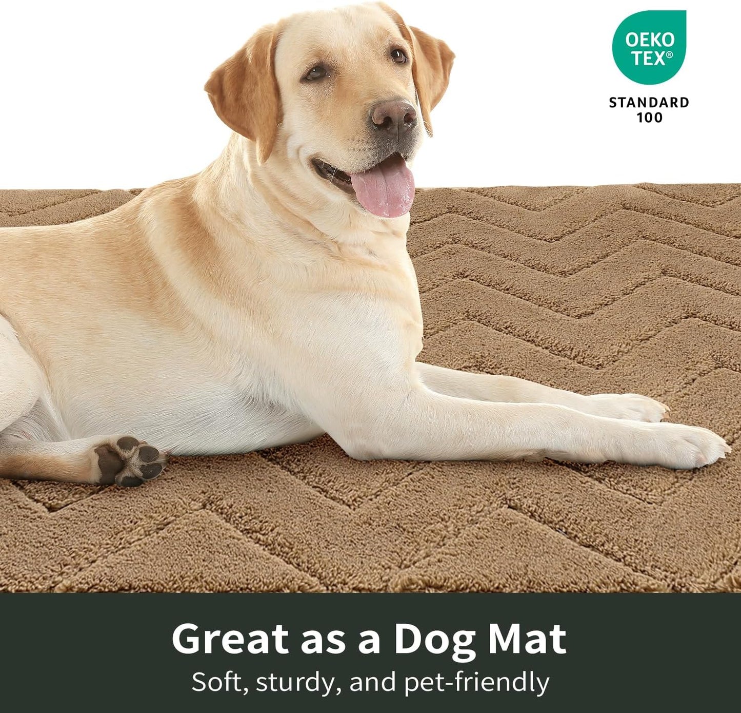 Stiio Bathroom Rugs, Bath Mats for Bathroom, Extra Soft and Water Absorbent, Non Slip Washable Mat for Floor, Tub and Shower, Front Door Entrance Inside Doormat, 24x35 Inches Brown BST202