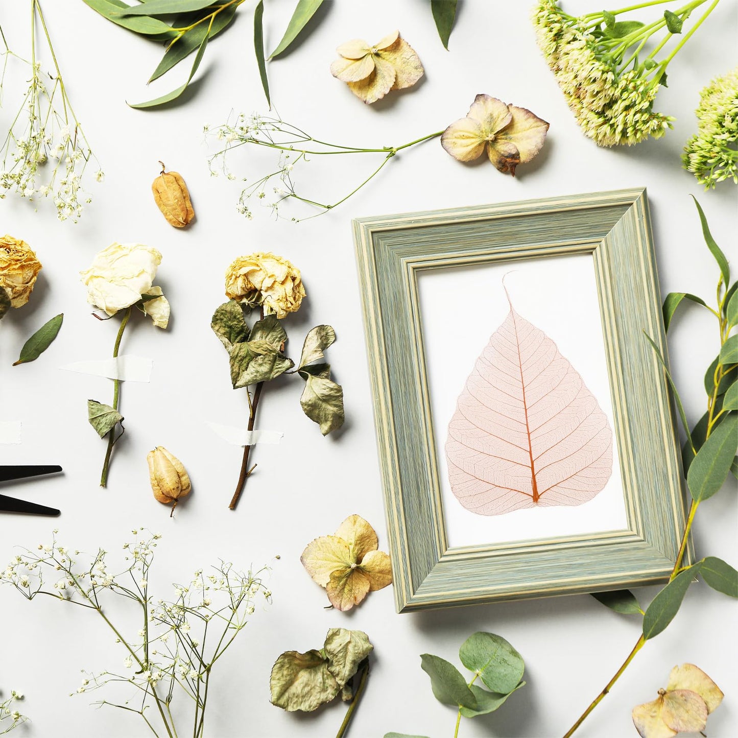 M METERXITY 100-Pack Skeleton Leaves, 5.1 Inch Natural Dried Pressed Bodhi Skeleton Leaves Vein for Resin/DIY Crafts Card/Scrapbook/Wedding, Small Leaves Decorative [Coffee] BST220