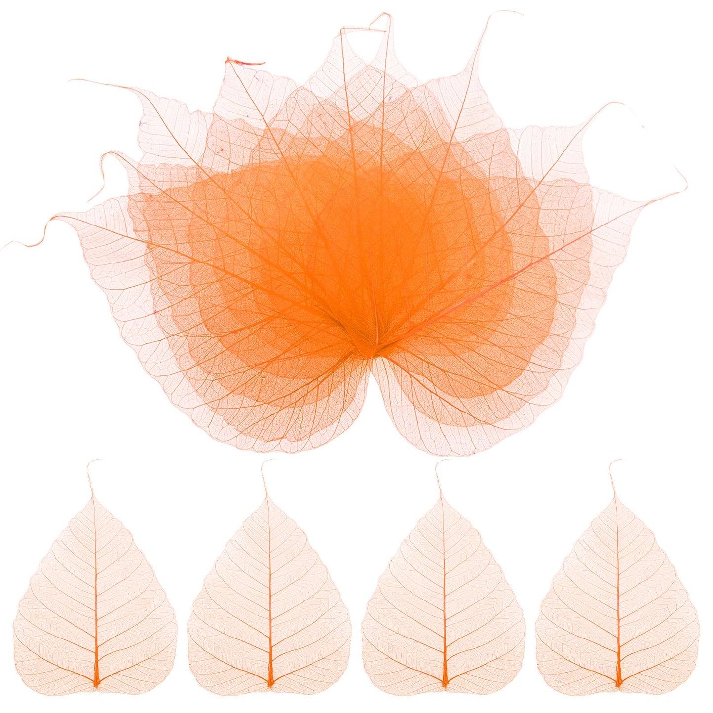 M METERXITY 100-Pack Skeleton Leaves, 5.1 Inch Natural Dried Pressed Bodhi Skeleton Leaves Vein for Resin/DIY Crafts Card/Scrapbook/Wedding, Small Leaves Decorative [Coffee] BST220