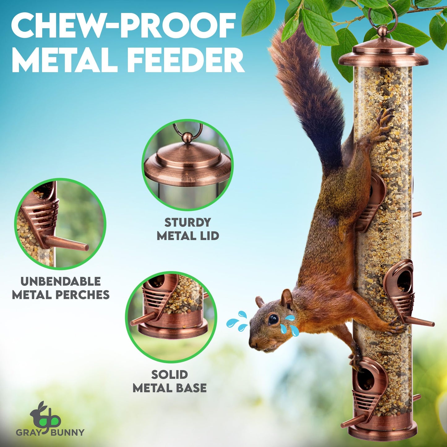 Bird Feeders for Outdoors (Green) Squirrel Proof Hanging Bird Feeder with Locking Lid & Adjustable Hanger RD12