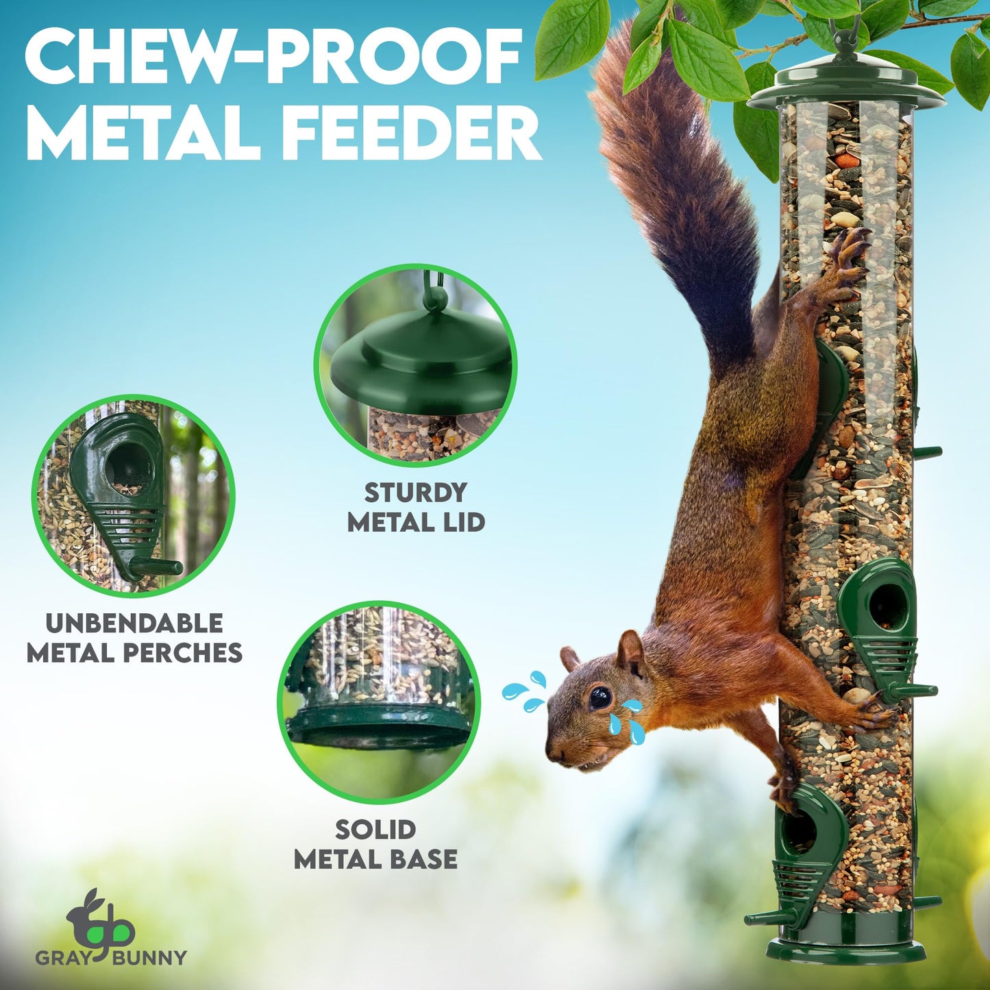 Bird Feeders for Outdoors (Green) Squirrel Proof Hanging Bird Feeder with Locking Lid & Adjustable Hanger RD12
