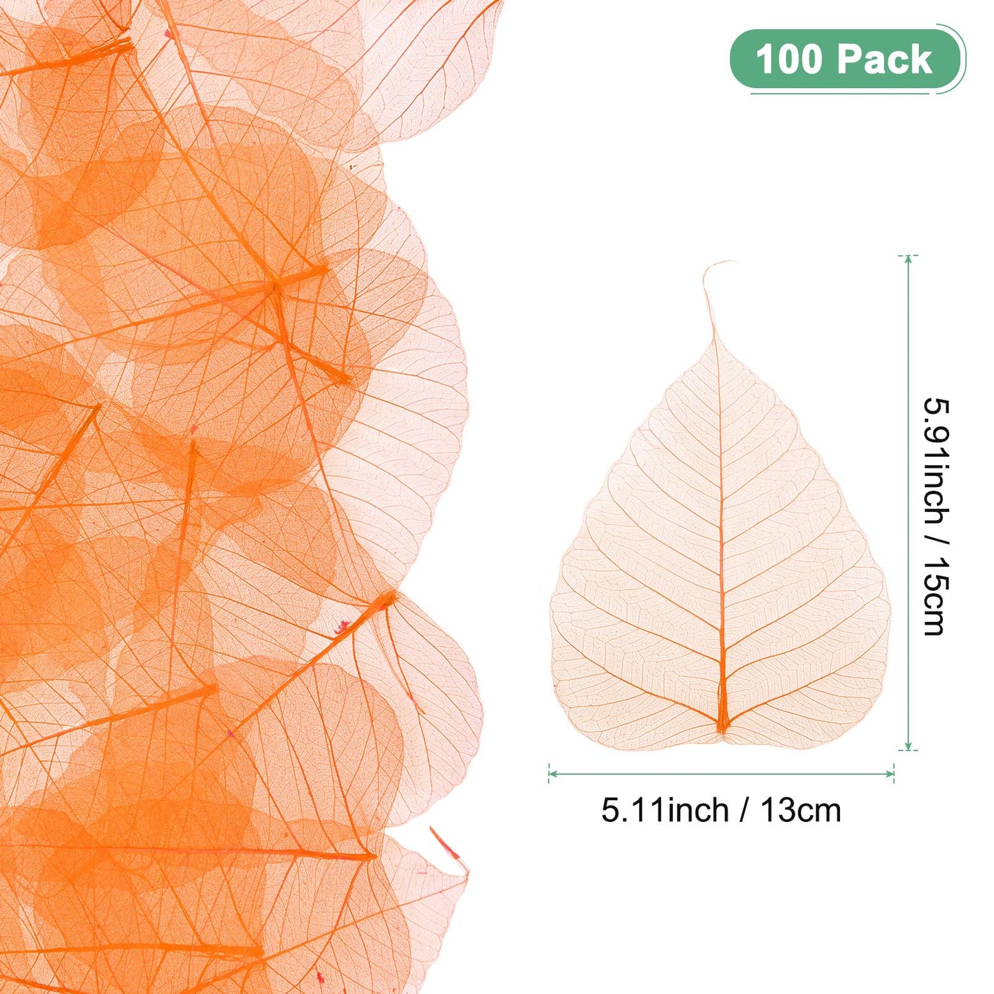 M METERXITY 100-Pack Skeleton Leaves, 5.1 Inch Natural Dried Pressed Bodhi Skeleton Leaves Vein for Resin/DIY Crafts Card/Scrapbook/Wedding, Small Leaves Decorative [Coffee] BST220
