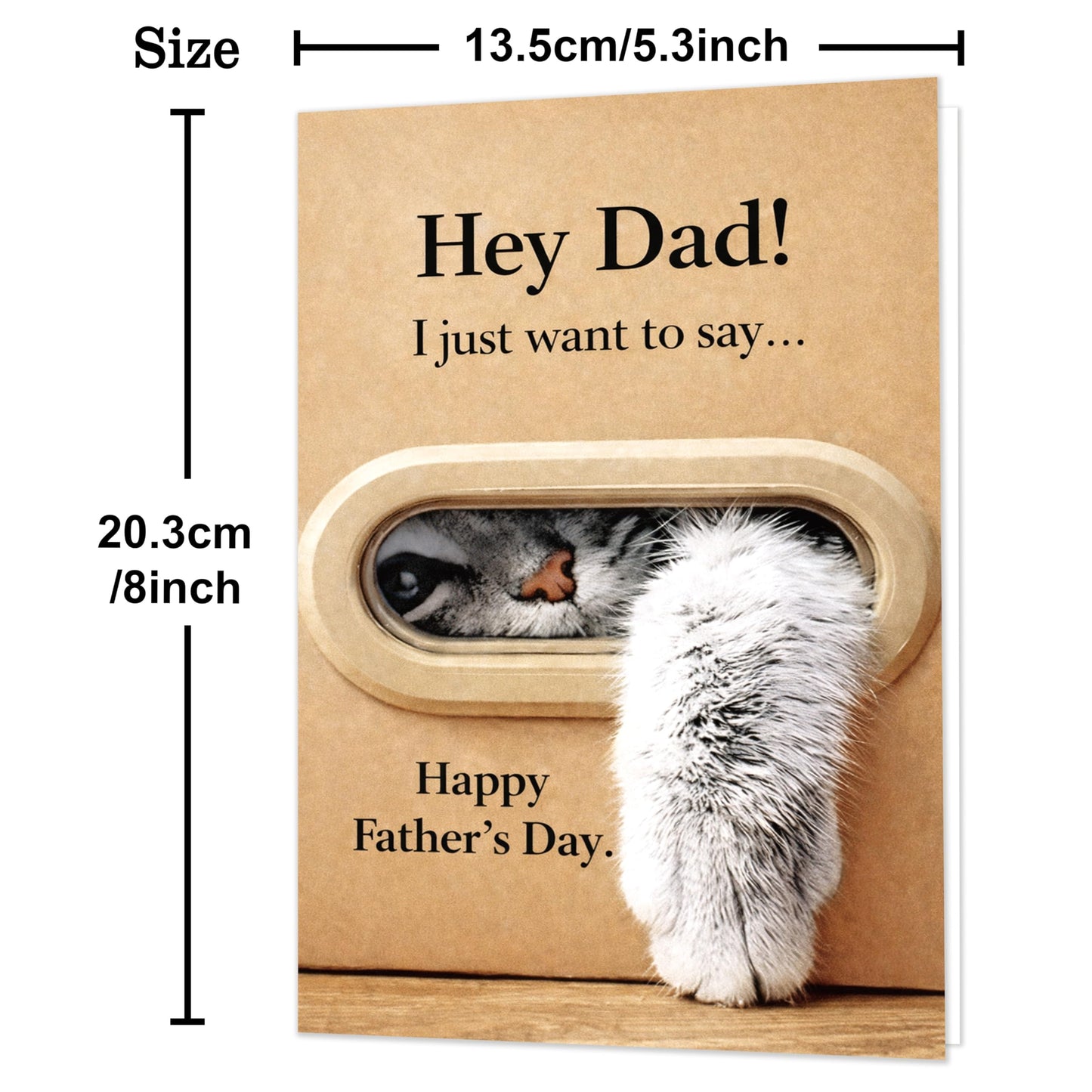 Funny Fathers Day Card for Dad, Father's Day Cards Gifts Decorations from Daughter Son, Happy Fathers Day Card from Cat, Cute Cat Dad Father's Day Decorations Gifts BST220
