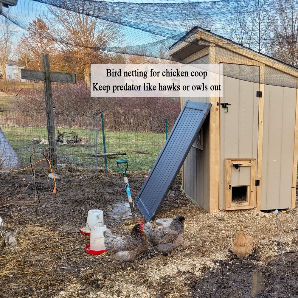 Bird Netting for Chicken Coop 50x50 Ft, 1" Mesh N31
