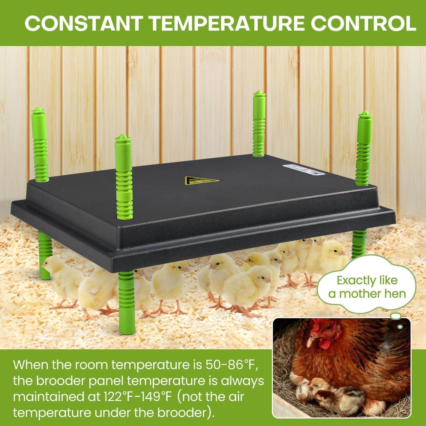 Chick Brooder Heater Plate, 12"x16" Warmer Brooder Plate for Chicks with Adjustable Height & Temperature Display RD12