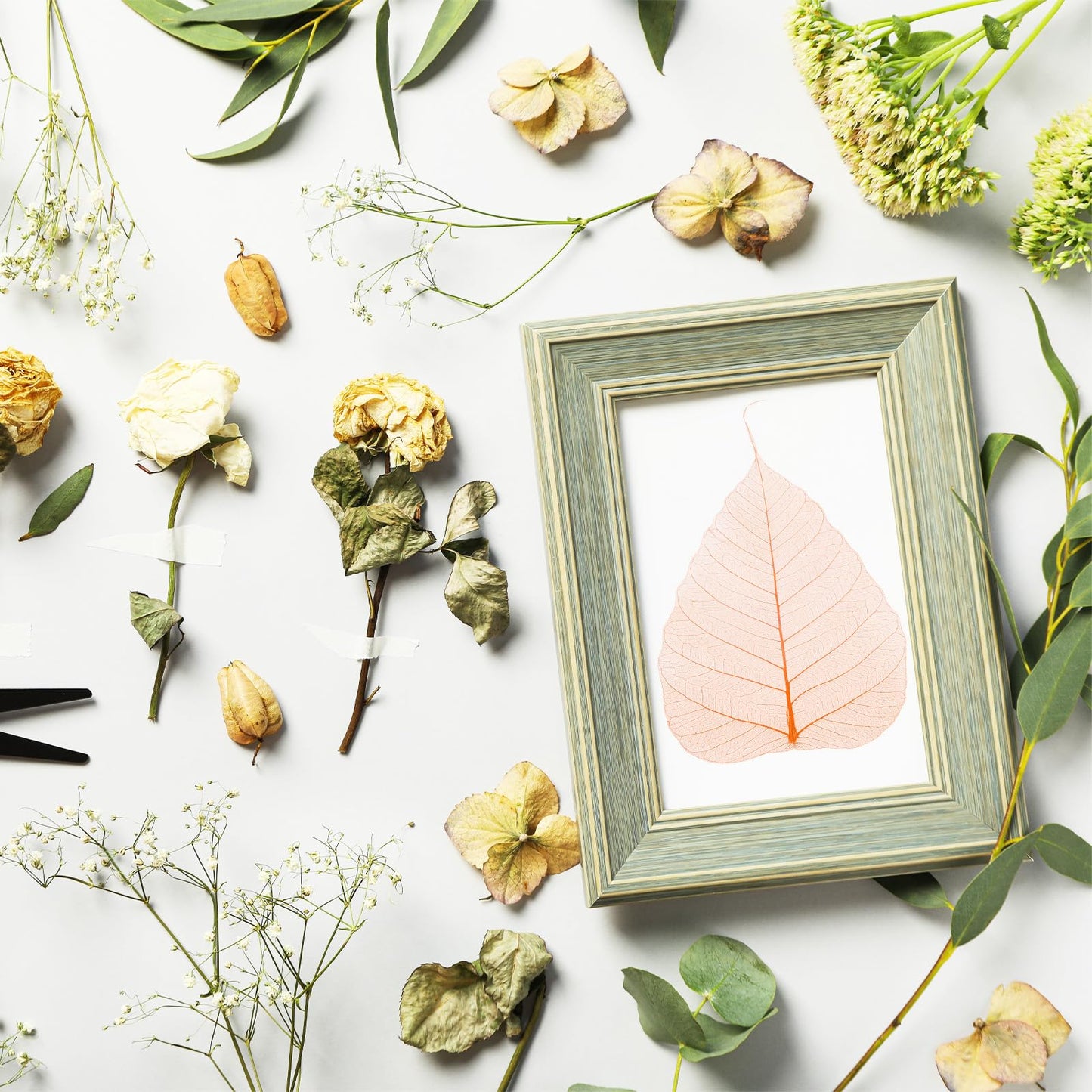 M METERXITY 100-Pack Skeleton Leaves, 5.1 Inch Natural Dried Pressed Bodhi Skeleton Leaves Vein for Resin/DIY Crafts Card/Scrapbook/Wedding, Small Leaves Decorative [Coffee] BST220