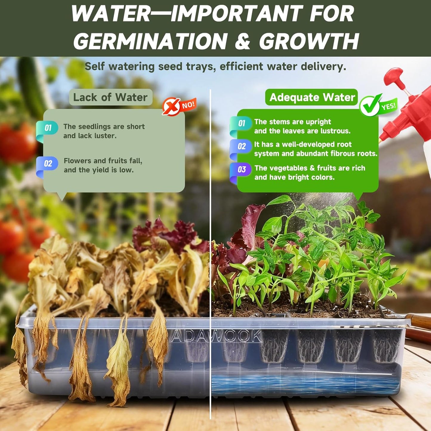 Adawook Self-Watering Seed Starter Tray, Seed Starter Kit Self Water N3233