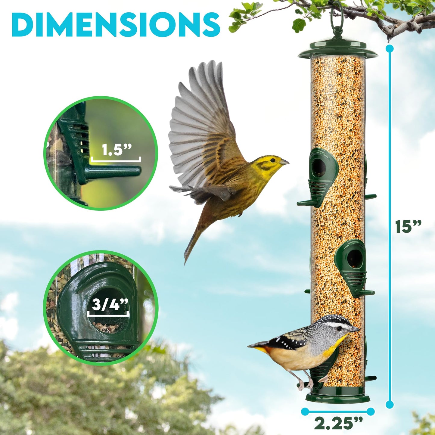 Bird Feeders for Outdoors (Green) Squirrel Proof Hanging Bird Feeder with Locking Lid & Adjustable Hanger RD12