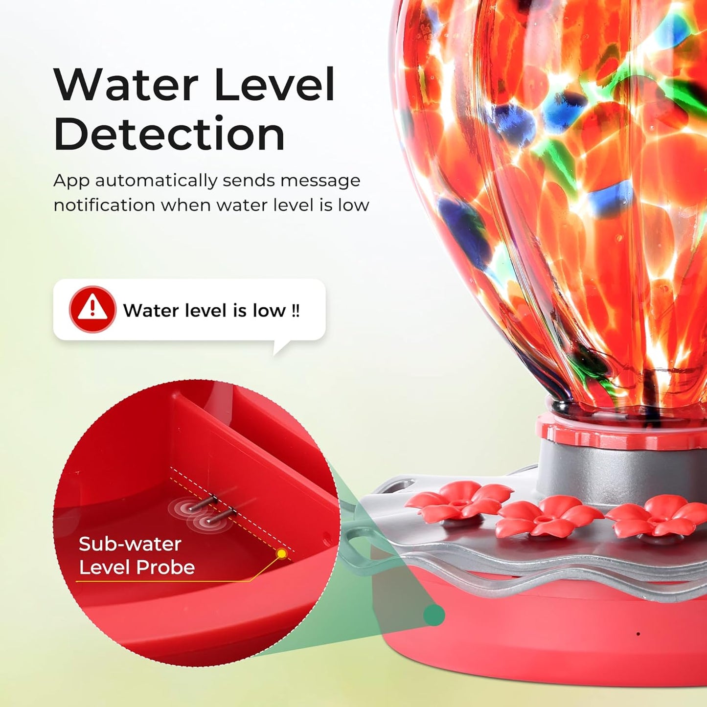 TT Nature Smart Glass Hummingbird Feeder with Camera Solar Powered 2K- AI Identify & Water Detection 81