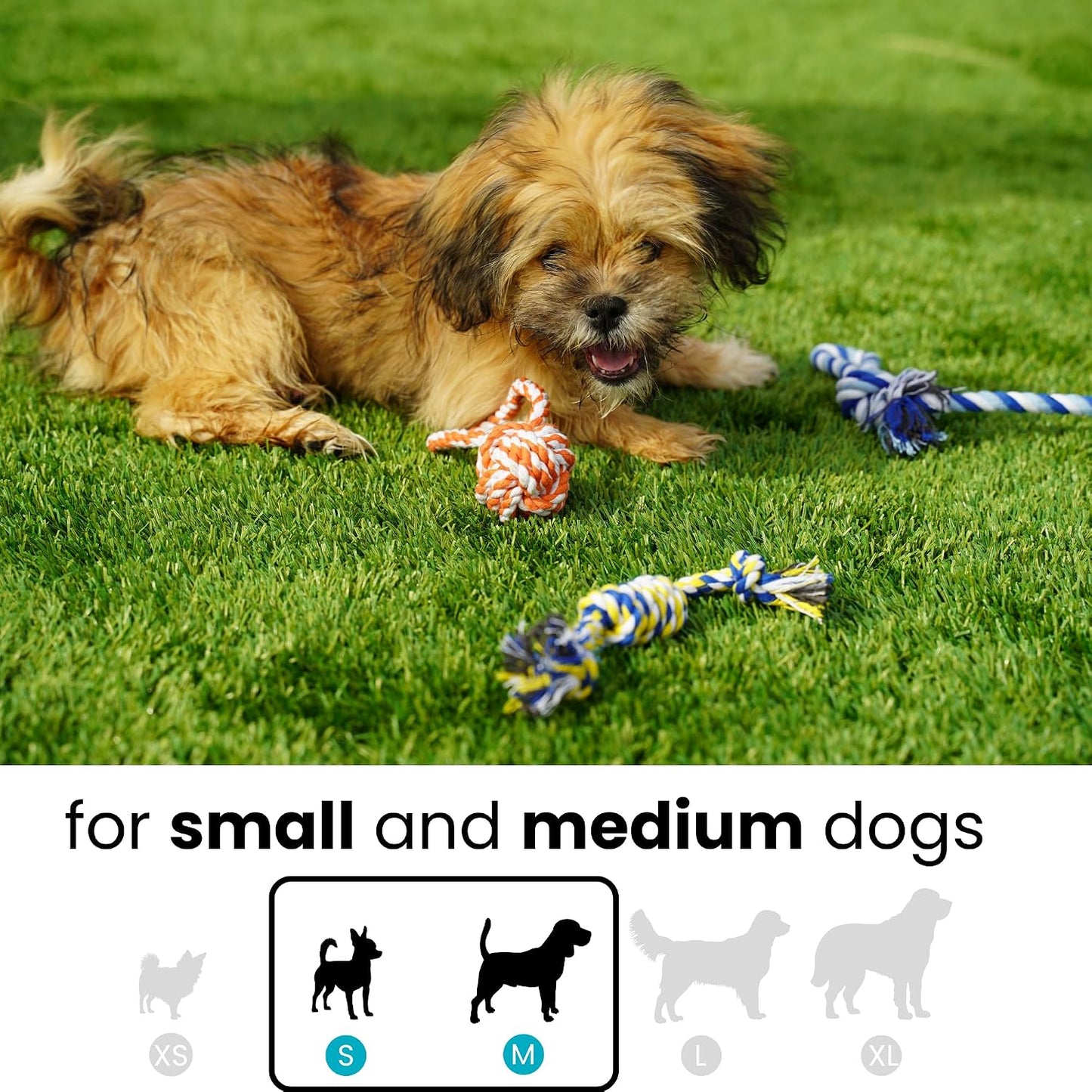 Otterly Pets Small Puppy Dog Rope Toys for Play Chew Teething and Boredom - for Small and Toy Dogs (6-Pack) WN420