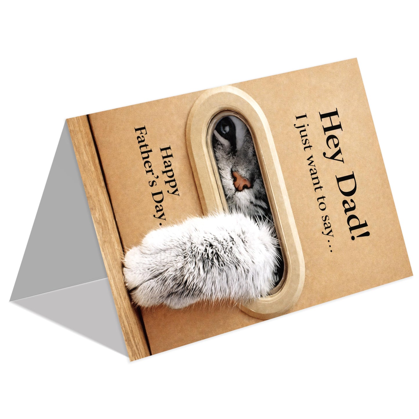 Funny Fathers Day Card for Dad, Father's Day Cards Gifts Decorations from Daughter Son, Happy Fathers Day Card from Cat, Cute Cat Dad Father's Day Decorations Gifts BST220
