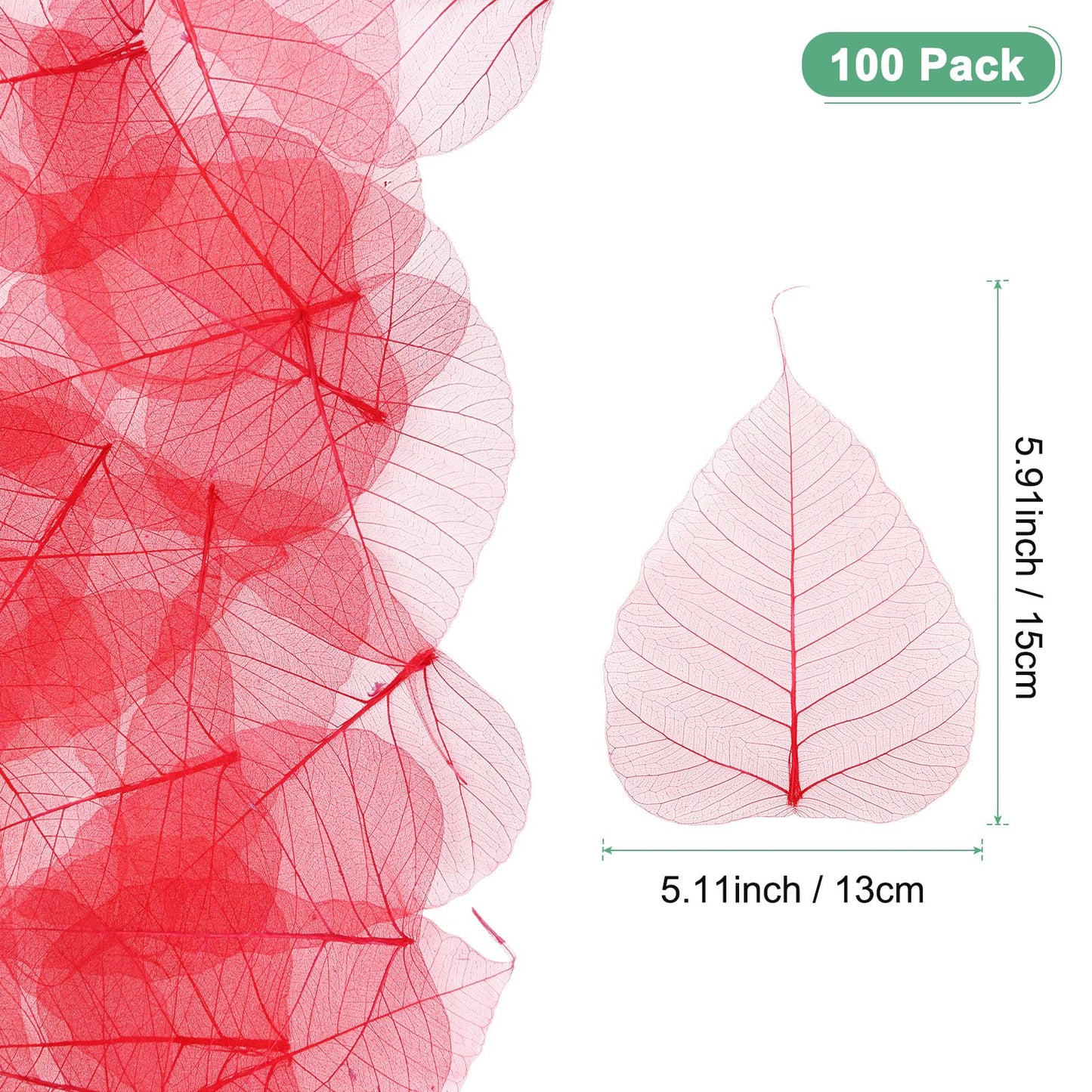 M METERXITY 100-Pack Skeleton Leaves, 5.1 Inch Natural Dried Pressed Bodhi Skeleton Leaves Vein for Resin/DIY Crafts Card/Scrapbook/Wedding, Small Leaves Decorative [Coffee] BST220