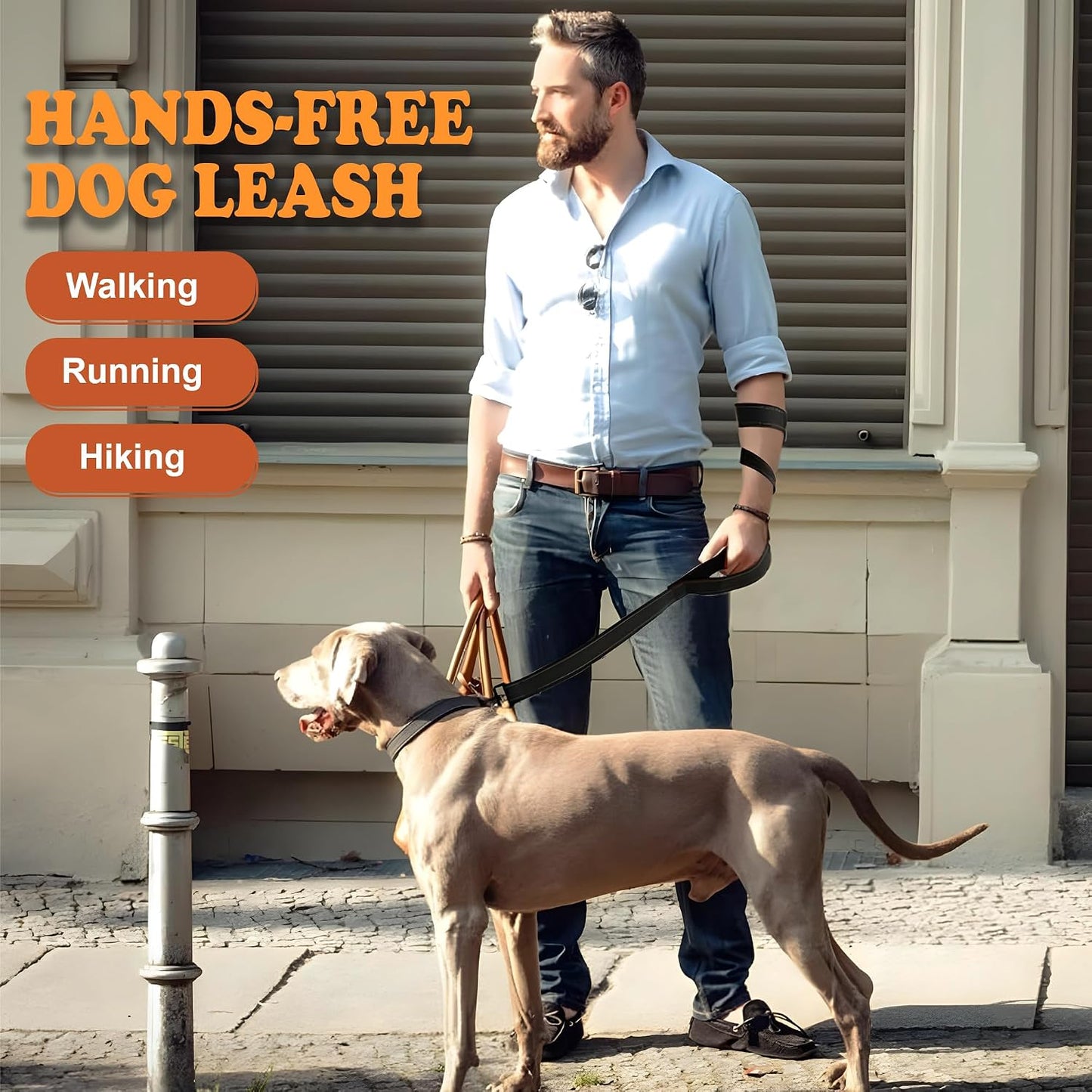 6FT Heavy Duty Dog Leash with Double Padded Handles, Traffic Handle & Reflective Nylon, Durable Walking Lead with Easy Snap Hook for Large, Medium & Small Dogs WN420