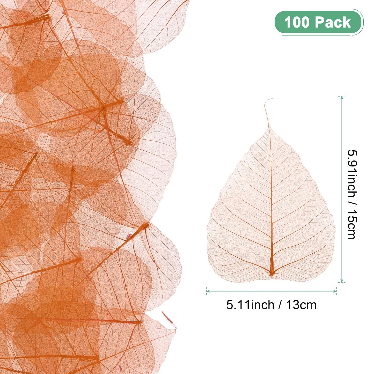M METERXITY 100-Pack Skeleton Leaves, 5.1 Inch Natural Dried Pressed Bodhi Skeleton Leaves Vein for Resin/DIY Crafts Card/Scrapbook/Wedding, Small Leaves Decorative [Coffee] BST220