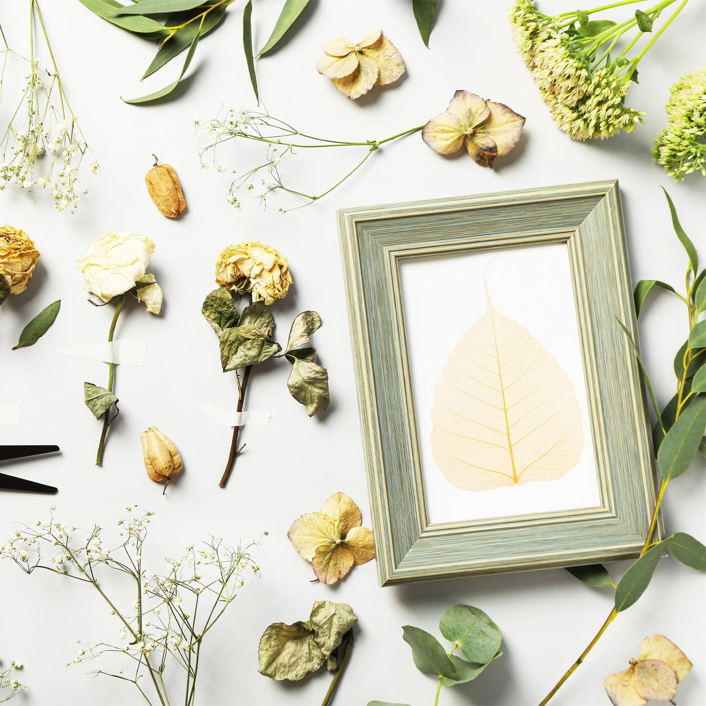 M METERXITY 100-Pack Skeleton Leaves, 5.1 Inch Natural Dried Pressed Bodhi Skeleton Leaves Vein for Resin/DIY Crafts Card/Scrapbook/Wedding, Small Leaves Decorative [Coffee] BST220