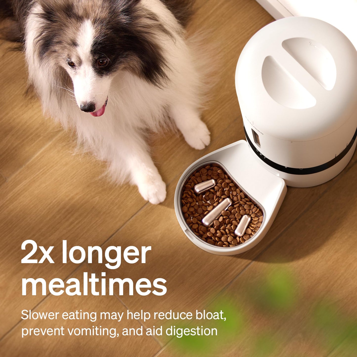PETLIBRO Automatic Cat Feeder – 3L Programmable Pet Food Dispenser with Freshness Preservation, Timed Portion Control, Voice Meal Call & Dual Power Supply, Healthy Feeding for Cats & Small Dogs White