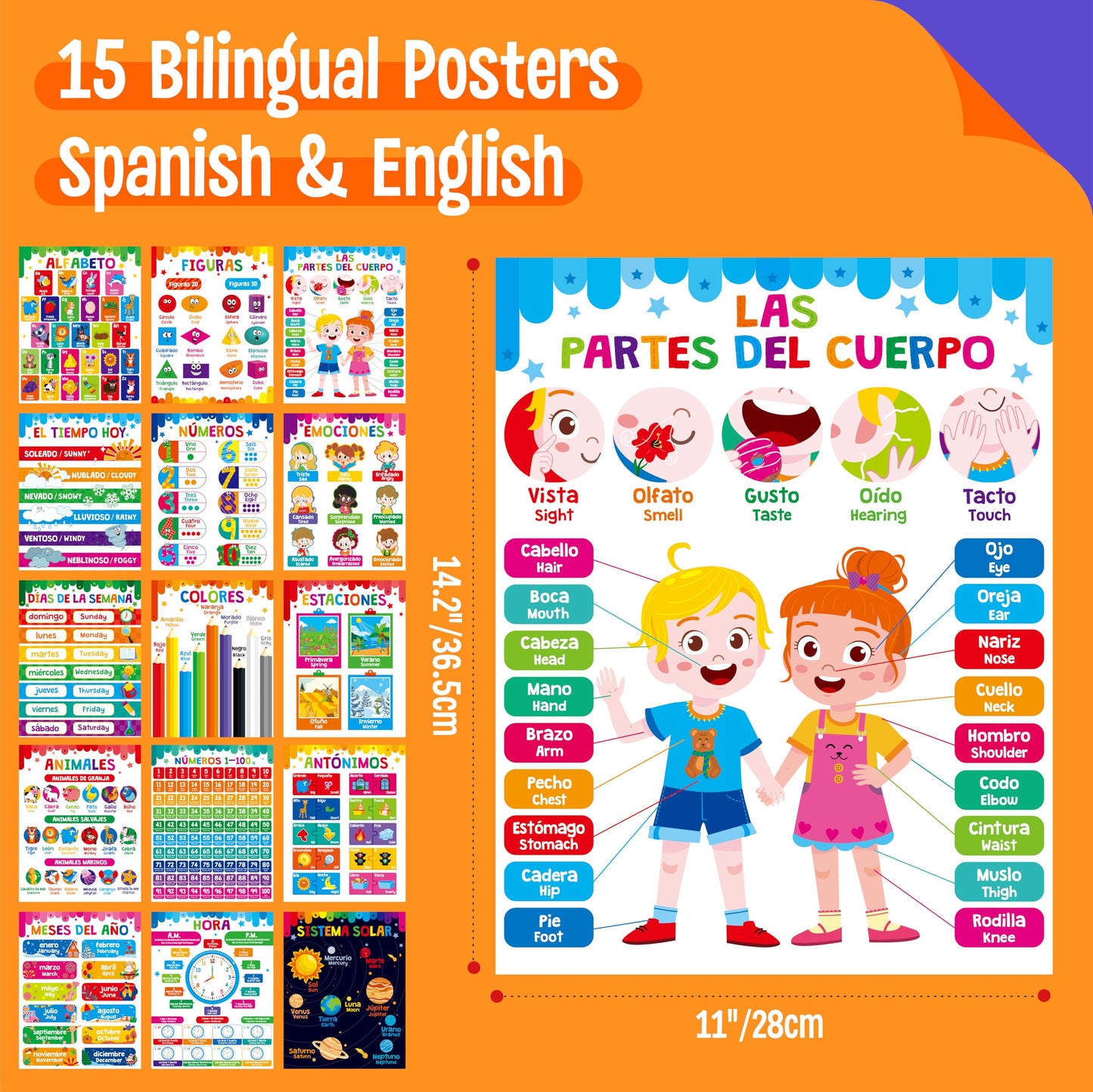 15 Reading Strategy Posters, Thick Water & Tear Resistant English Language Poster, Educational Reading Comprehension Posters for Bulletin Board, Classroom, School Supplies, Wall Decor (14.5” x 11”) BST220