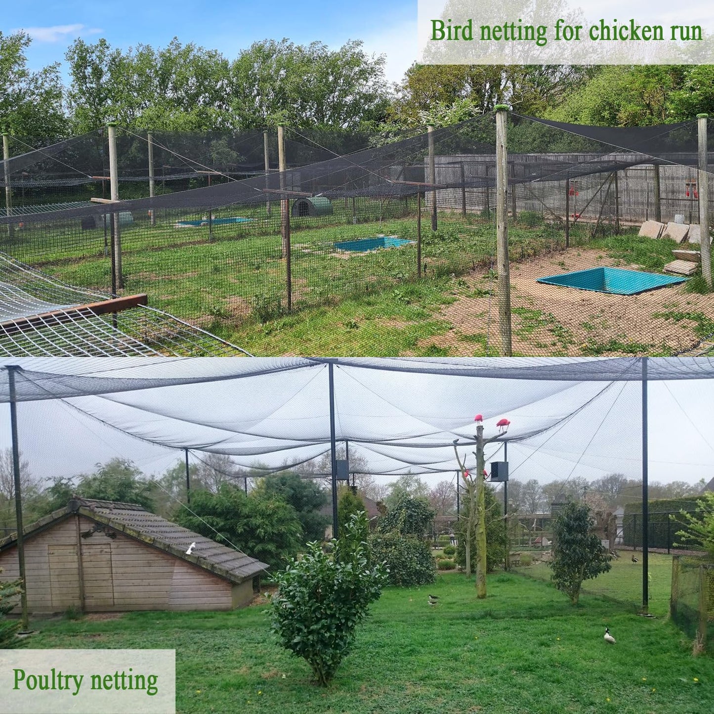 Bird Netting for Chicken Coop 50x50 Ft, 1" Mesh N31