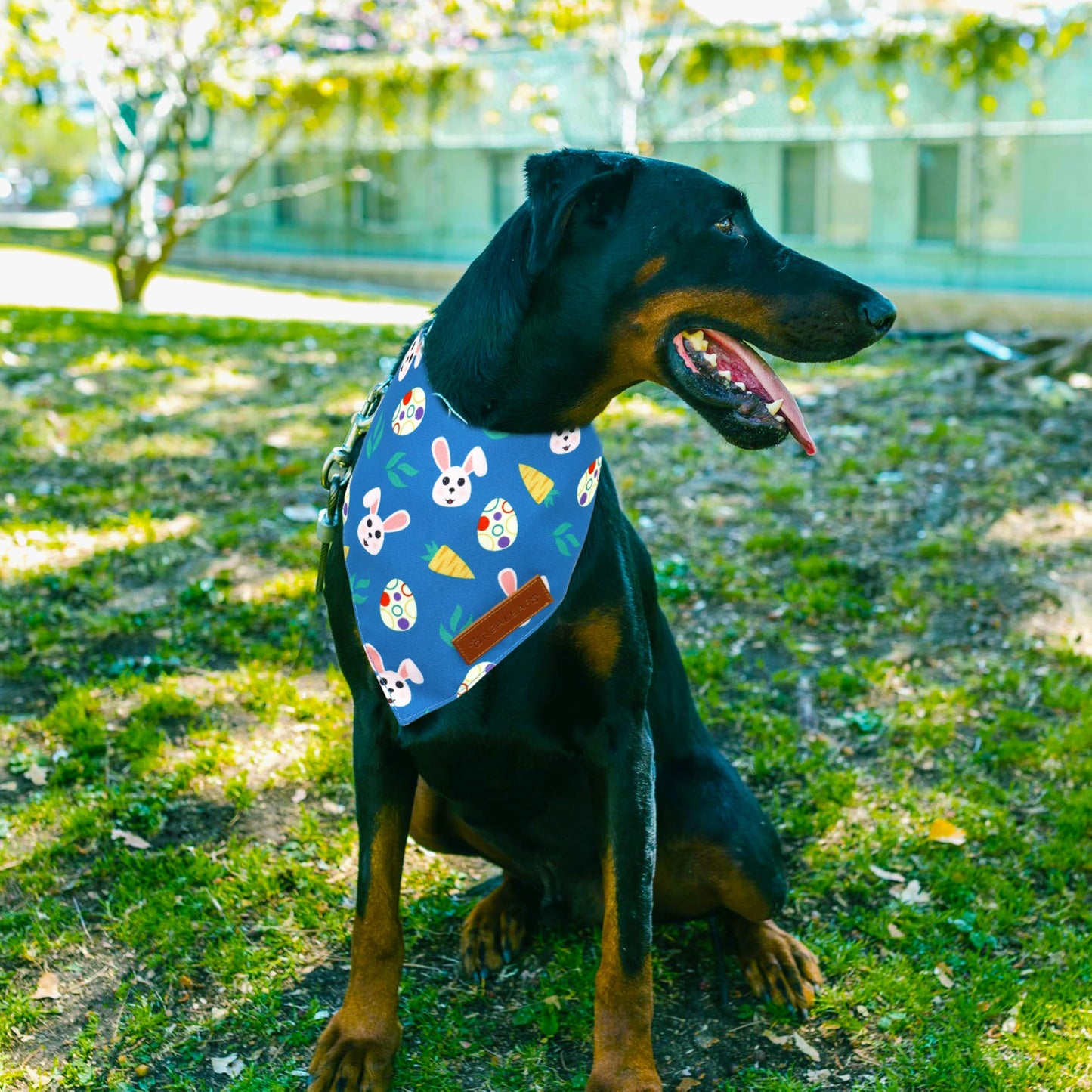 Realeaf Fall Thanksgiving Dog Bandanas 2 Pack, Orange Plaid Pet Scarf for Boy and Girl, Premium Durable Fabric, Holiday Halloween Bandana for Large and Extra Large Dogs (X-Large) WN420
